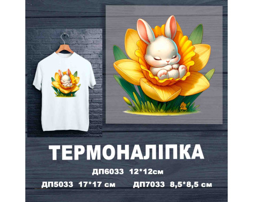 Термонаклейка на одежду ДП-033