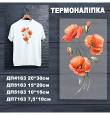 Наклейка ДП-163